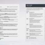 Elon Musk Lebenslauf Vorlage Beste Resume Git Resume Elon Musk Resume Template From Die