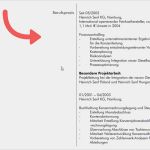 Elon Musk Lebenslauf Vorlage Bewundernswert Dieser Lebenslauf ist Laut Experten Perfekt Business