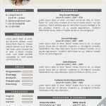 Elon Musk Lebenslauf Vorlage Bewundernswert English Resume Template