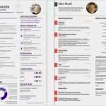 Elon Musk Lebenslauf Vorlage Erstaunlich so Sieht Ein Lebenslauf Aus Mit Dem Sie Jeden Personaler