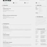 Elon Musk Lebenslauf Vorlage Neu Free E Page Resume Template
