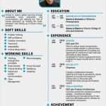 Elon Musk Lebenslauf Vorlage Schönste Henry Blod Twitter