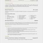 Elon Musk Lebenslauf Vorlage Wunderbar 15 Elon Musk One Page Resume