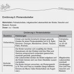 Elternbrief Vorlage Gesunde Ernährung Bewundernswert Materialien Das Gesunde Boot