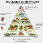 Elternbrief Vorlage Gesunde Ernährung Schön Harvard Ernährungspyramide Kohlenhydrate Tabelle