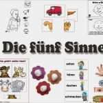 Elternbrief Vorlage Kindergarten Projekt Schönste Kindergarten Projekt Fünf Sinne Ideen Zum Basteln Und