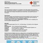 Elternbrief Vorlage Projekt Kita Erstaunlich Designer