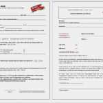 Elternbrief Vorlage Schule Schön Unterrichtsmaterial Übungsblätter Für Grundschule