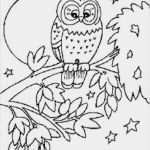 Elternbriefe Vorlagen Kostenlos Erstaunlich Malvorlagen