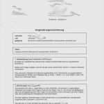 Elterngeld Antrag Vorlage Schön Muster Bewerbung Um Ein Praktikum Muster Arbeitsvertrag