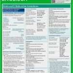 Email Englisch Vorlage Bewundernswert Business Email Englisch Vorlage Gut Anrede Englisch Tipps