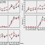 Empathy Map Vorlage Erstaunlich Empathy Map New Empathy Map Template Beautiful Fantastic