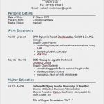 Empfehlungsschreiben Stipendium Vorlage Elegant Resume Englisch Muster