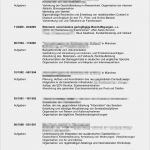 Empfehlungsschreiben Stipendium Vorlage Wunderbar Bewerbungsflyer Kandidatenkick Für Jobmessen