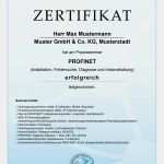 Emv Risikobeurteilung Vorlage Cool Profinet Training Für Anwender