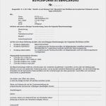 Emv Risikobeurteilung Vorlage Schön Großzügig Konformitätserklärung Vorlage Ideen