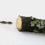 Engel Aus Draht Biegen Vorlage Elegant Engel Aus Holz Basteln Diy Holzengel Mit Vorlage Talu