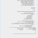 Engel Aus Draht Biegen Vorlage Inspiration Engel Aus Draht Biegen