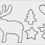 Engelsflügel Vorlage Zum Ausschneiden Schönste 54 Bewundernswert Engelsflügel Vorlage Zum Ausschneiden