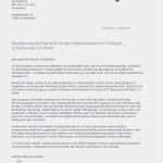 Englische Biographie Vorlage Erstaunlich 11 Bewerbung Konditorin