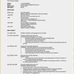 Englische Biographie Vorlage Luxus 21 Lebenslauf Englisch Cv