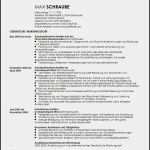 Englischer Cv Vorlage Beste 13 Cv Englisch Muster