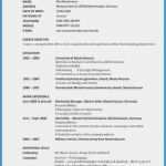 Englischer Cv Vorlage Elegant 13 Curriculum Vitae Tabellarisch Englisch