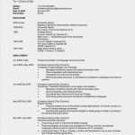 Englischer Cv Vorlage Gut "resume" "curriculum Vitae" Oder Stinknormaler Lebenslauf