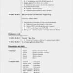 Englischer Cv Vorlage Hübsch Lebenslauf Englisch