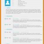 Englischer Cv Vorlage Inspiration 17 Englisch Lebenslauf Muster