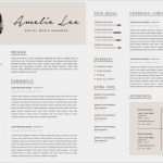 Englischer Cv Vorlage Schön Die Besten 25 Englischer Lebenslauf Vorlage Ideen Auf