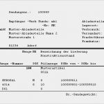 Englischer Lieferschein Vorlage Hübsch Herrmann Datensysteme Erzeugung Von Edi Versandpapieren
