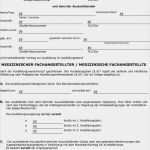 Entschuldigung Berufsschule Vorlage Neu 17 Entschuldigung Für Berufsschule Muster