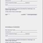 Entschuldigung Schule Vorlage Kostenlos Neu Entschuldigung Schule Vorlage Kostenlos Wunderschönen