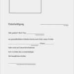 Entschuldigung Schule Vorlage Krank Elegant Entschuldigung Schule Vorlage Krank Neueste Fotos 62