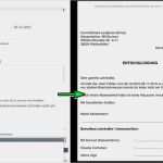 Entschuldigung Sportunterricht Vorlage Elegant Entschuldigung Für Die Unannehmlichkeiten Vorlage Gut