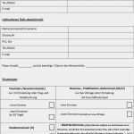 Entsendungsschreiben Visum China Vorlage Elegant Antrag Für China Visum Pdf