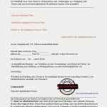 Entsendungsschreiben Visum China Vorlage Großartig Geschäftseinladung Für China Visum