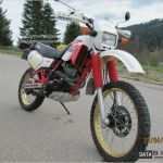 Entsorgungsnachweis Vorlage Erstaunlich Gel Batterie Yamaha Xt 600 K 1991 1995 Typ 3tb