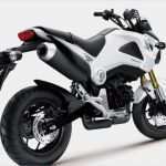 Entsorgungsnachweis Vorlage Süß Gel Batterie Honda Msx 125 2013 2014 Typ Jc61