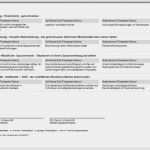 Entwicklungsbericht Grundschule Vorlage Elegant Förderplan Schreiben Mit Förderplaner