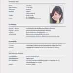 Entwicklungsbericht Grundschule Vorlage Großartig Word Vorlage Flyer 3 Spaltig 50 Best Bewerbung