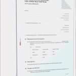 Entwicklungsbericht Jugendamt Vorlage Wunderbar Vorlage Mietvertrag Kundigen Besten Der Kündigung