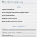Entwicklungsbogen Vorlage Angenehm Vorlagen Kreatives Schreiben Marcel Niggemann