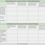 Entwicklungsbogen Vorlage Gut Iqes Online