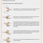 Entwicklungsdokumentation Vorlage Neu Die Besten 25 Elternabend Ideen Auf Pinterest