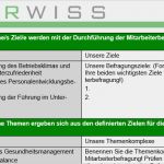 Entwicklungsplan Vorlage Cool tool Konzeptionshilfe Mitarbeiterbefragung