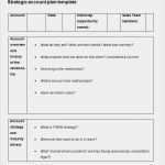 Entwicklungsplan Vorlage Hübsch Strategic Account Plan Template 8 Free Word Pdf