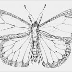 Eos Vorlagen Best Of Spiritualwiki Vorlagen