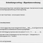 Erbe Ausschlagen Vorlage Luxus Schenkungsvertrag Muster Testament Vorlage